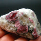 Rare Red Eudialyte from Quebec, Canada - 1.8" - 71.84 Grams