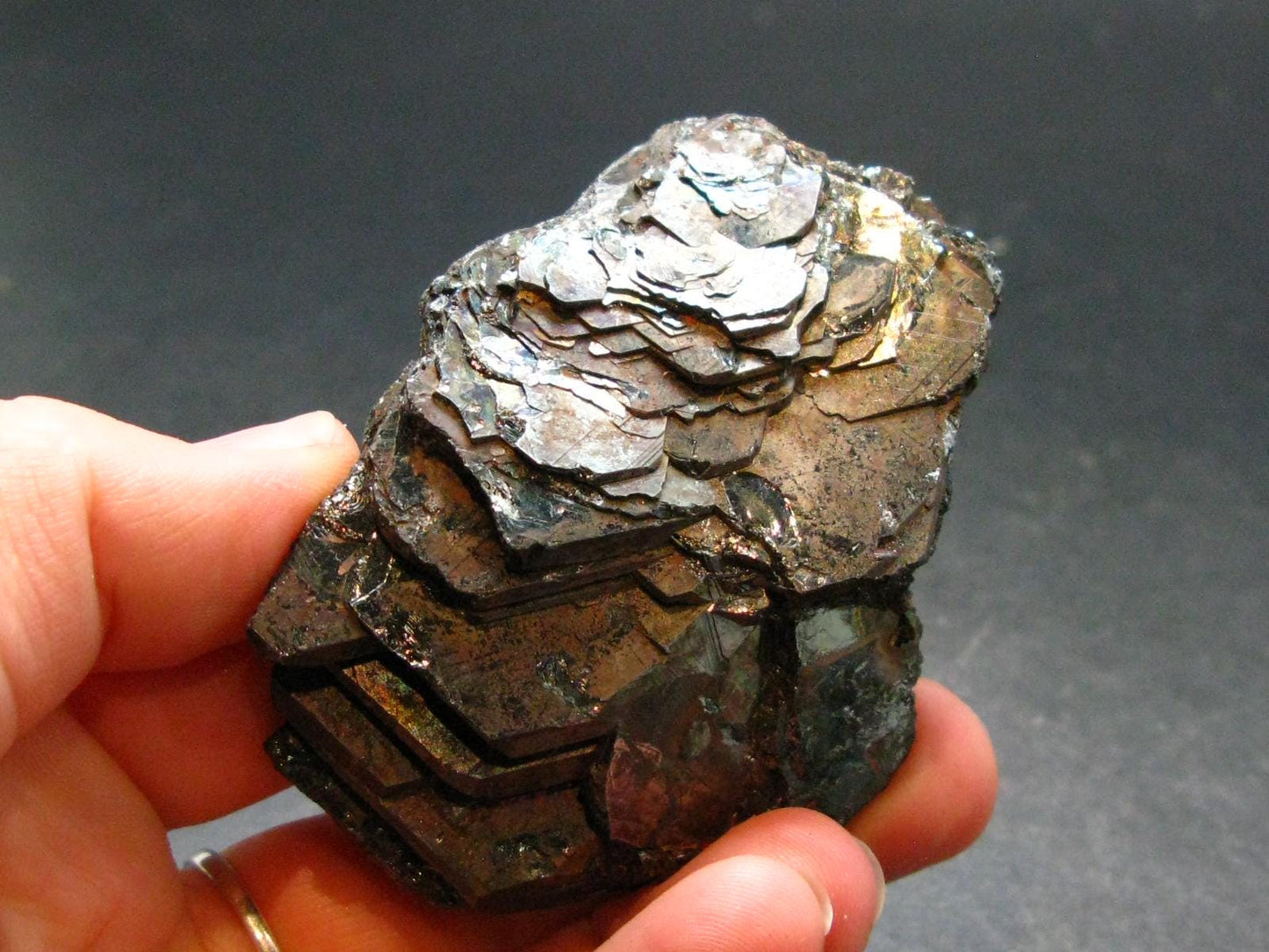 Large Hematite "Iron Rose" from Brazil - 2.5" - 111.89 Grams