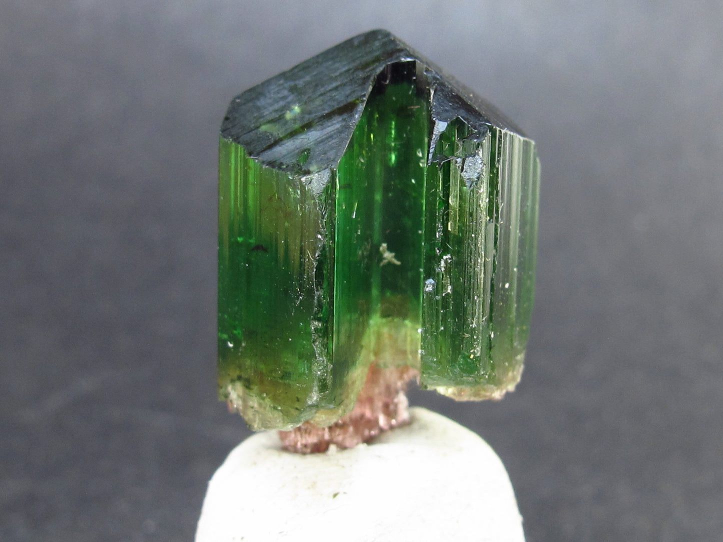Rare Watermelon Tourmaline Crystal From Brazil - 1.0" - 49.55 Carats