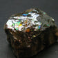 Ammolite Ammollite Fossil From Alberta Canada - 1.9" - 111.30 Grams