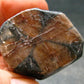Andalusite Chiastolite Crystal From China - 1.3" - 24.83 Grams