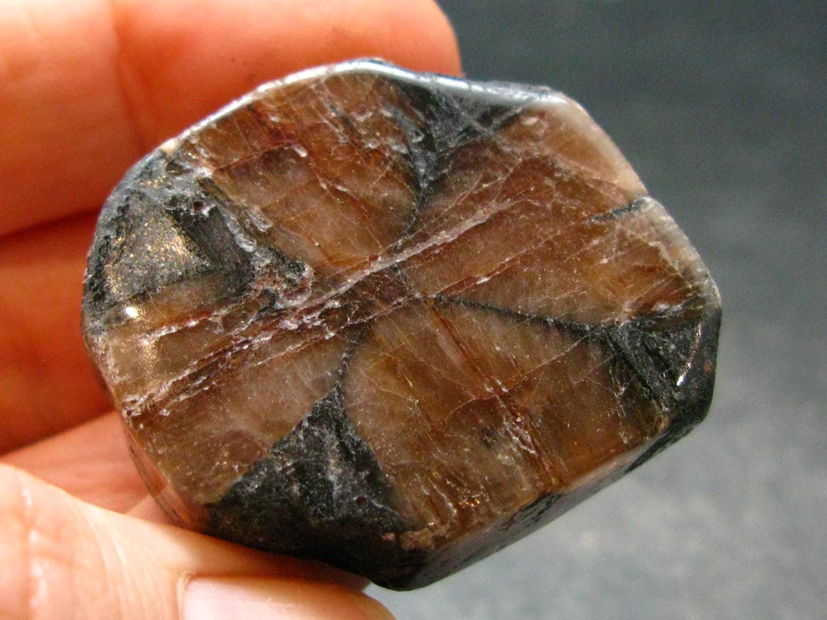 Andalusite Chiastolite Crystal From China - 1.3" - 24.83 Grams