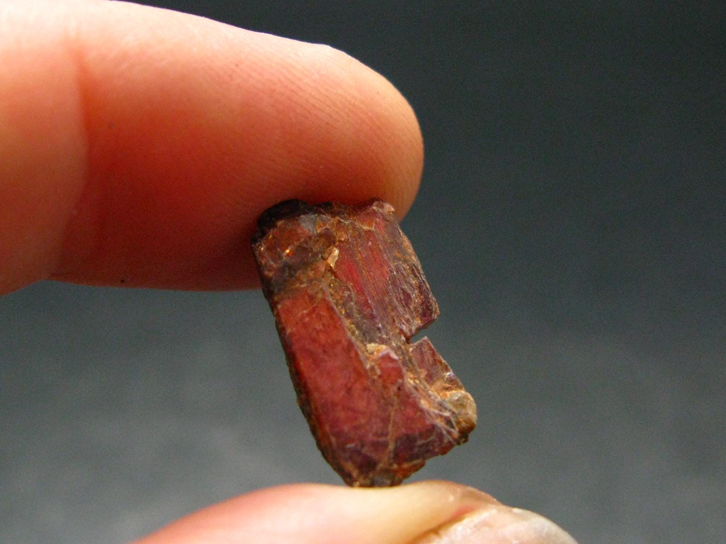 Mangano Tantalite Crystal From Brazil - 0.7" - 12.55 Carats