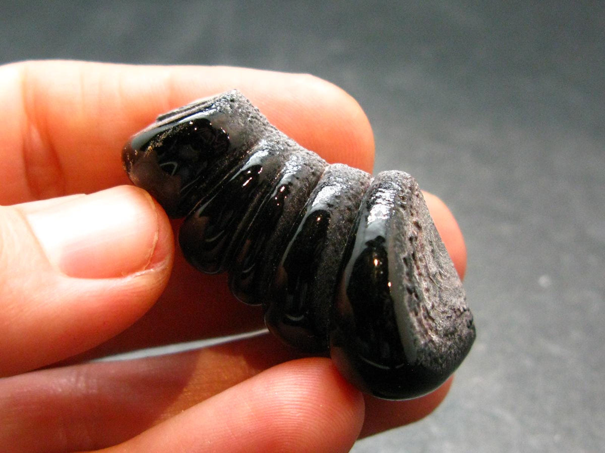 Very Cool Fordite "Detroit Motor City Agate" from Michigan - 1.6"- 8.07 Grams