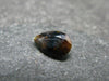 Rare Anatase Cut Stone from Pakistan - 0.61 Carats