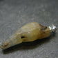 Yellow Terminated Sapphire Corundum Crystal Silver Pendant From Sri Lanka - 1.3" - 21 Carats