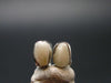 Phenakite Phenacite Silver Stud Earrings From Nigeria - 1.23 Grams