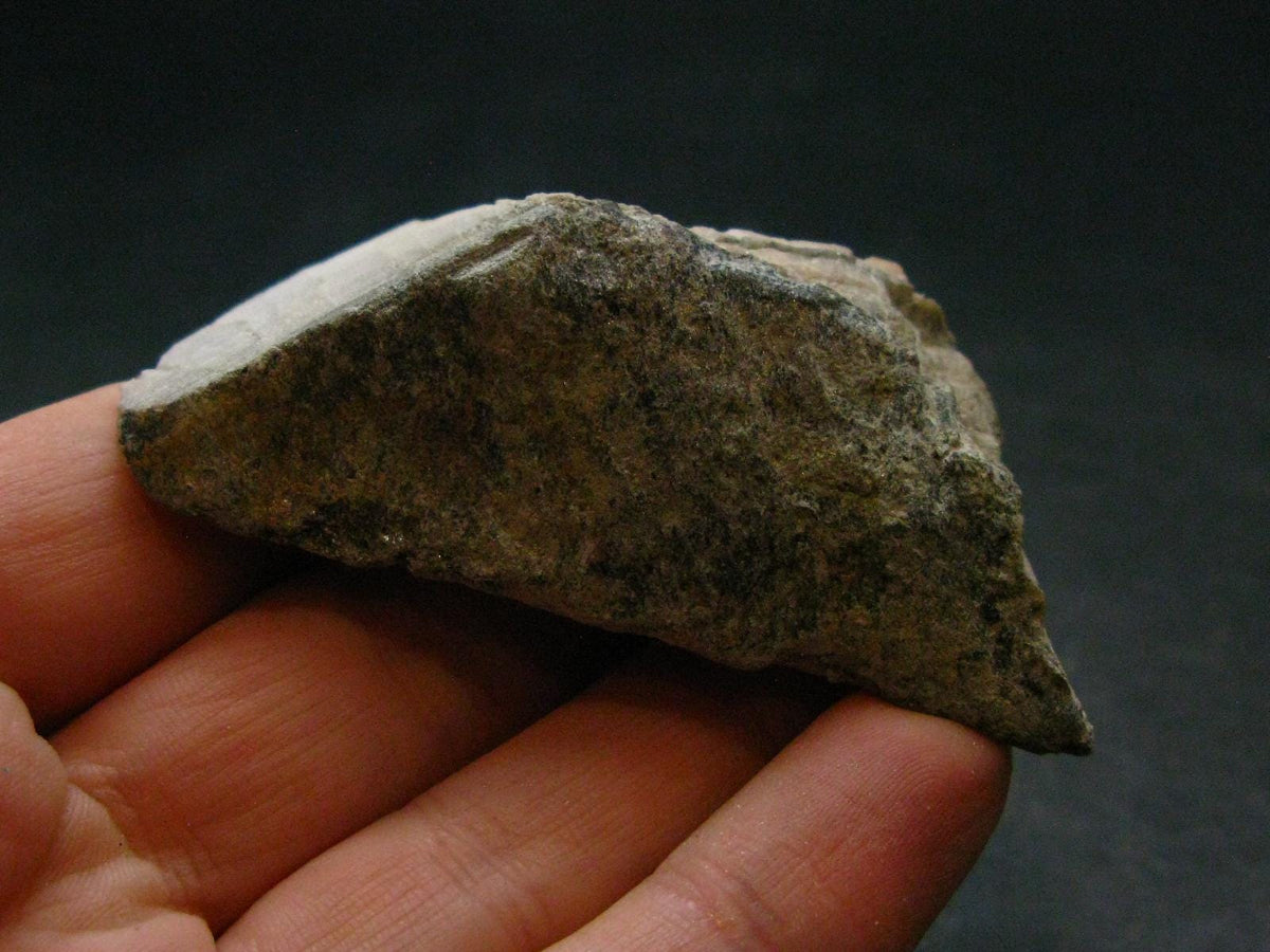 Phenakite Phenacite Polished Slice From Brazil - 46.61 Grams - 2.4"