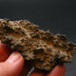 Large Fulgurite Lightning Rock From Sahara Desert - 2.7"