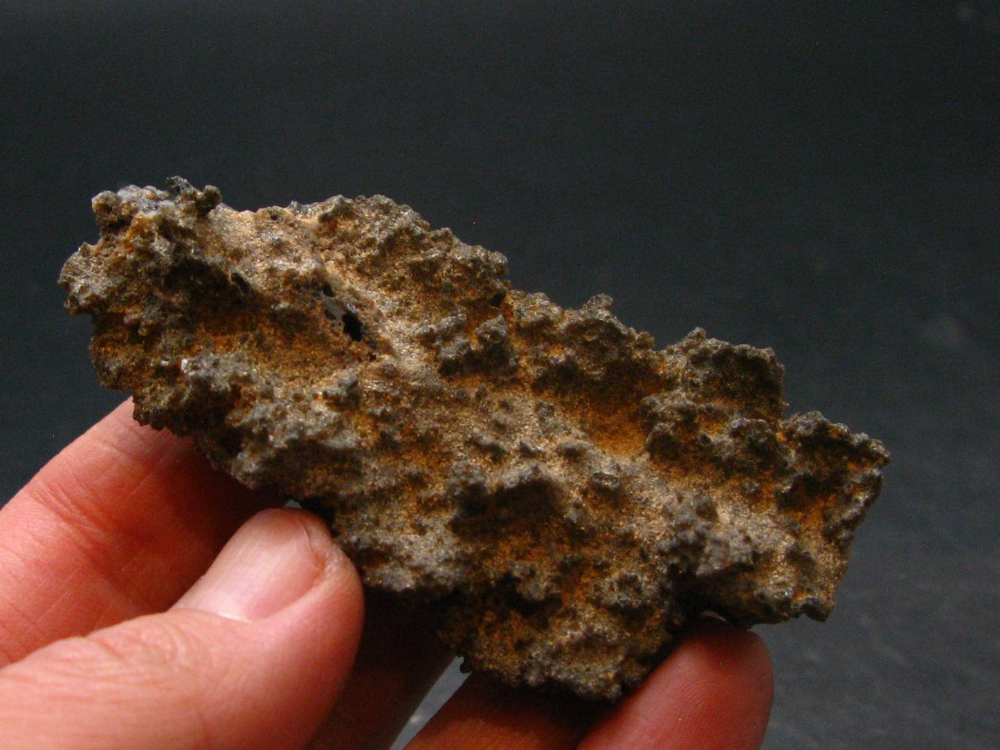 Large Fulgurite Lightning Rock From Sahara Desert - 2.7"