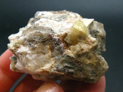 Rhodizite Rhodozite Cluster From Madagascar - 1.8"