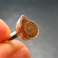Natural Whole Polished Agatized Ammonite Cleoniceras Sterling Silver Ring from Madagascar - 1.88 Grams - Size 5