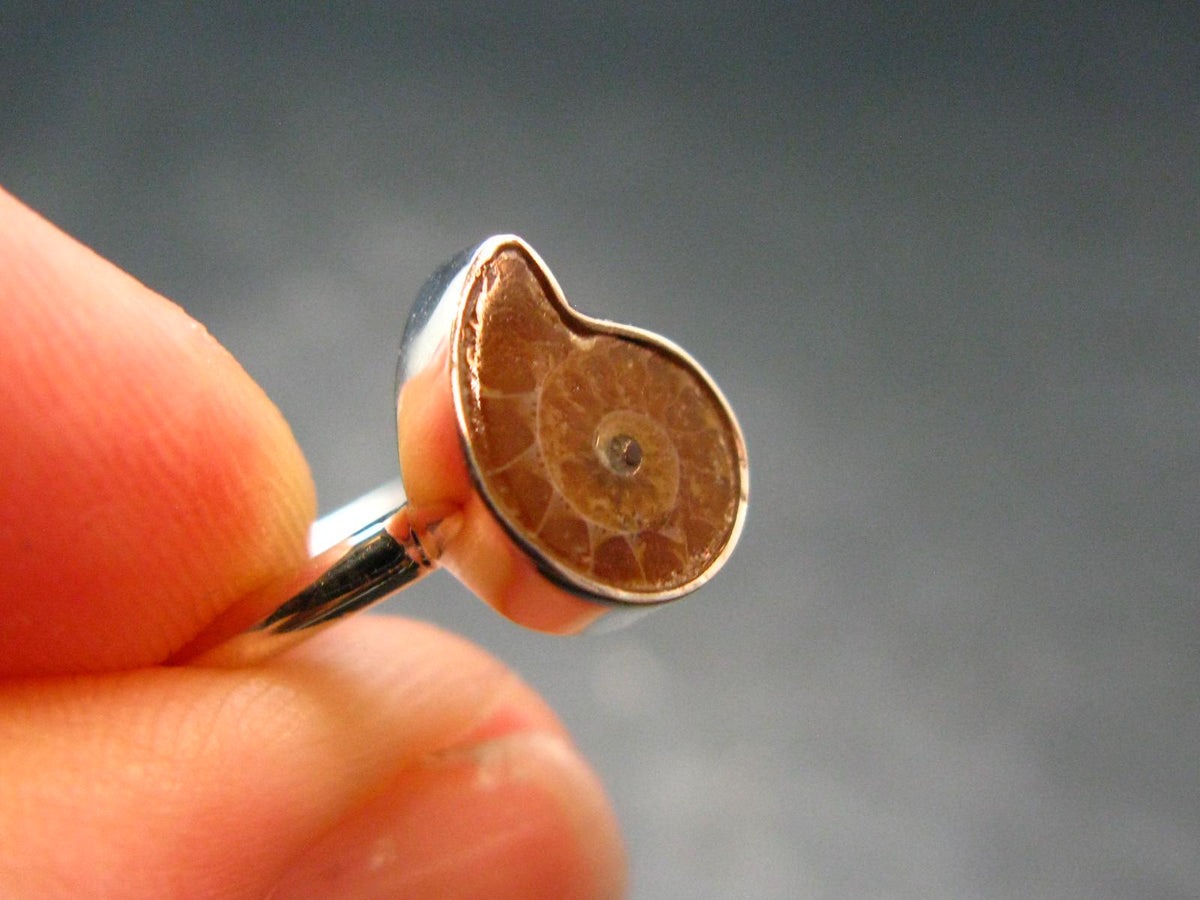 Natural Whole Polished Agatized Ammonite Cleoniceras Sterling Silver Ring from Madagascar - 1.88 Grams - Size 5