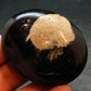 Rare Large Blue Amber Tumbled Piece Fluorescent From Indonesia - 2.1" - 27.43 Grams