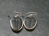Trilobite Silver Earrings from USA - 1.3" - 3.68 Grams