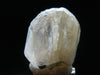 Phenakite Phenacite Crystal from Nigeria - 44.40 Carats