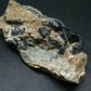 Extremely Rare Perovskite Cluster from Russia - 436 Grams - 5.8"