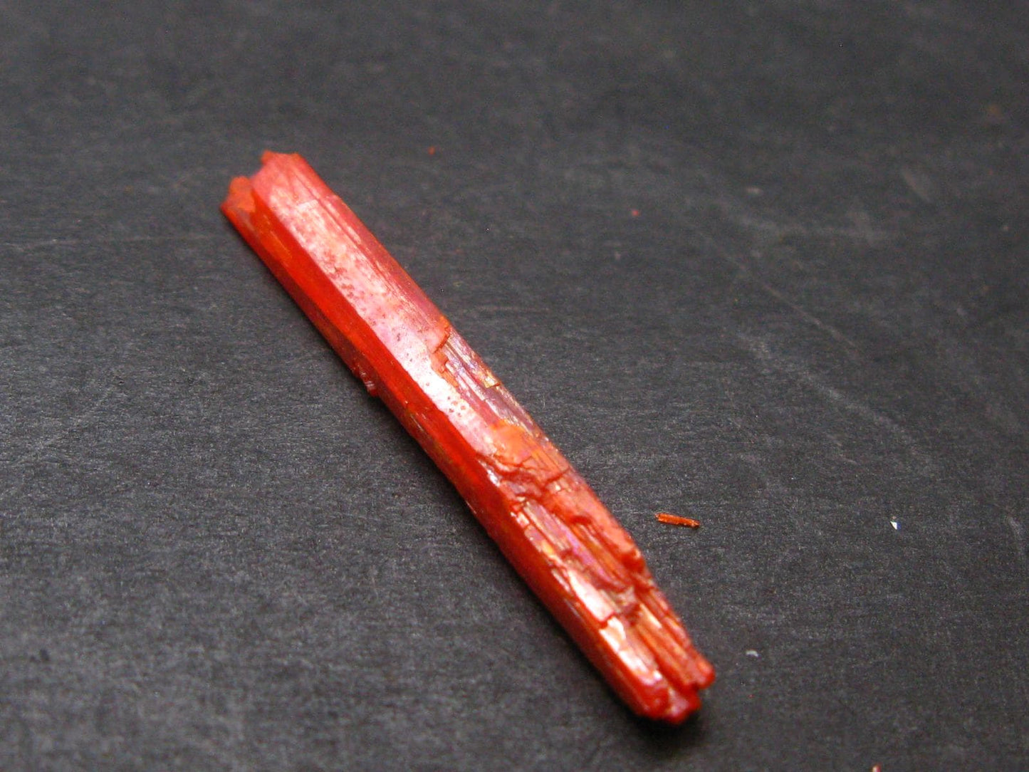 Large Orange Crocoite Crystal From Australia - 1.4" - 7.55 Carats