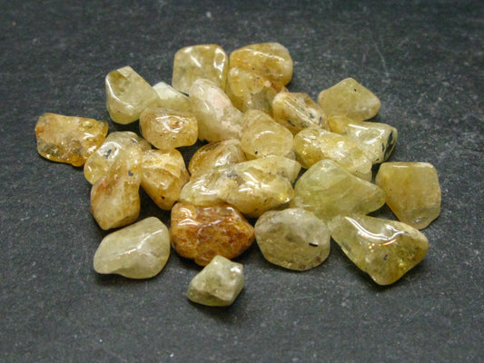 Lot of 25 Tumbled Heliodor (Yellow Beryl) Crystals from Brazil - 62.95 Carats