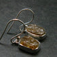 Rare Herderite Crystal Silver Earrings from Brazil - 2.92 Grams