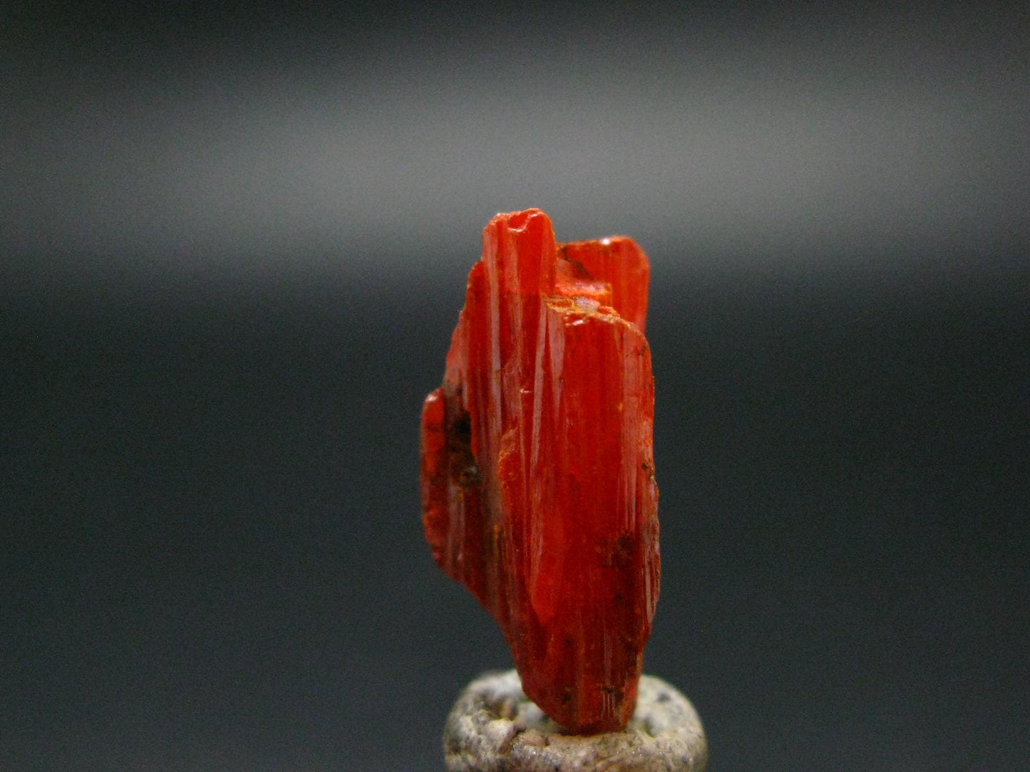 Large Orange Crocoite Crystal From Australia - 0.7" - 13.60 Carats