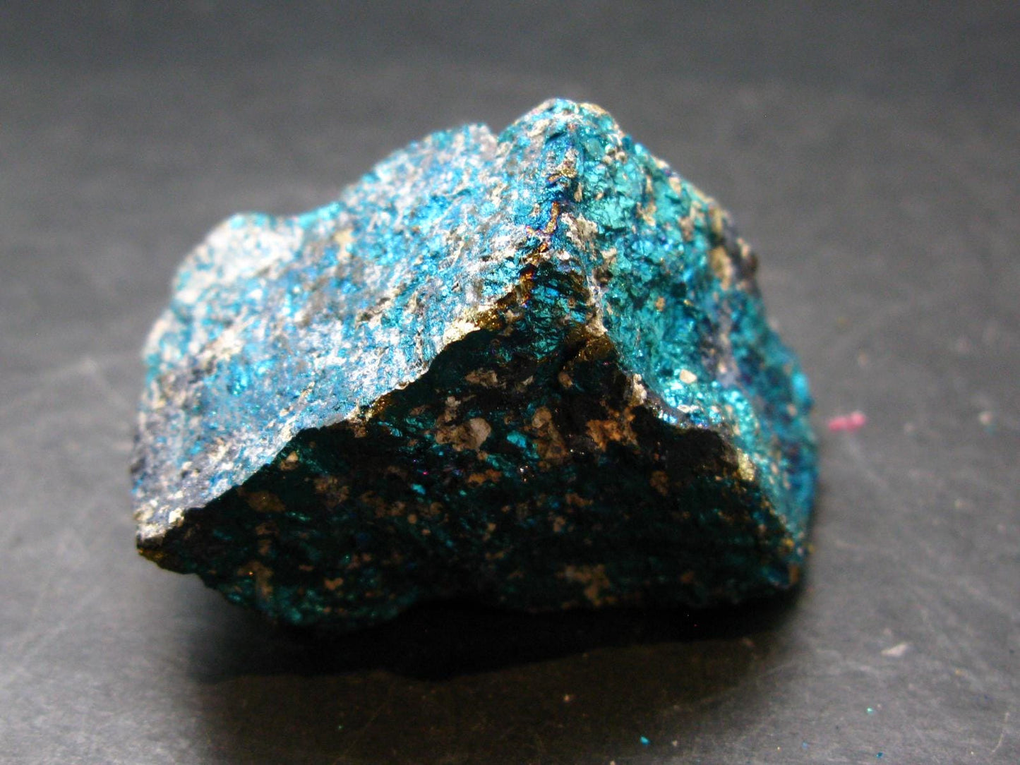 Peacock Ore!! Unusual Natural Raw Chalcopyrite Bornite from Mexico - 1.7" - 131.63 Grams