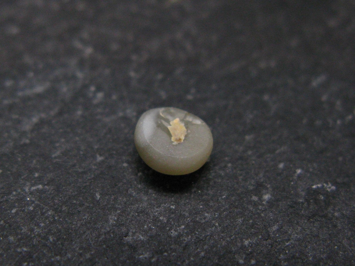 Rare Gem Chrsyoberyl Cats Eye Cabochon from India - 0.56 Carats