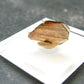 Large Brookite Crystal From Pakistan - 0.20 Grams - 13 mm