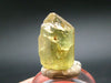 Large Gem Golden Apatite Crystal From Mexico - 0.6" - 7.27 Grams