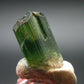 Green Tourmaline Crystal From Brazil - 0.6" - 9.60 Carats