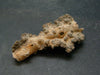 Large Fulgurite Lightning Rock From USA - 1.7" - 1.60 Grams