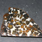 Large Sericho Meteorite Pallasite Olivine Slice From Kenya - 2.8" - 20.07 Grams