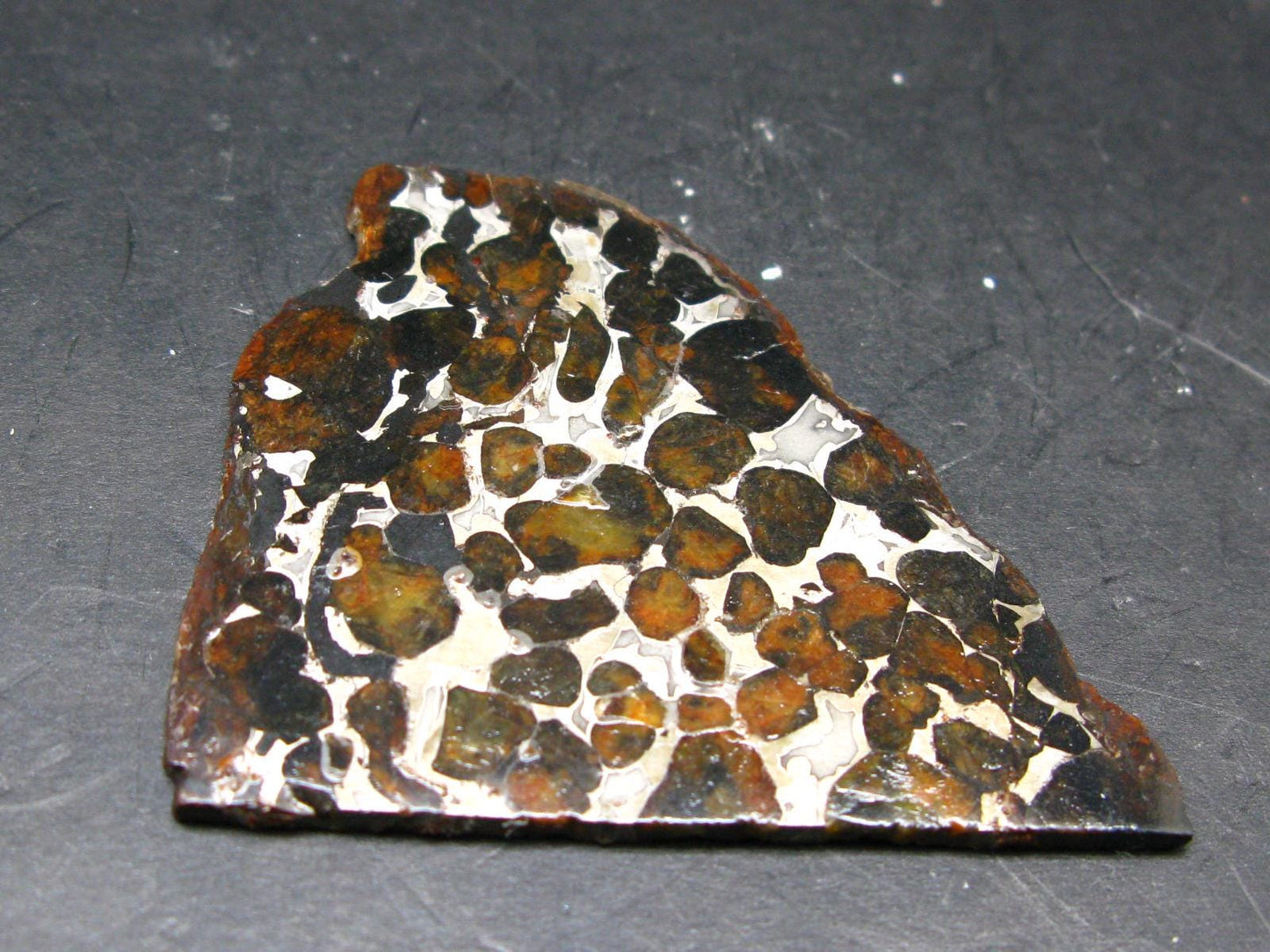 Large Sericho Meteorite Pallasite Olivine Slice From Kenya - 2.8" - 20.07 Grams
