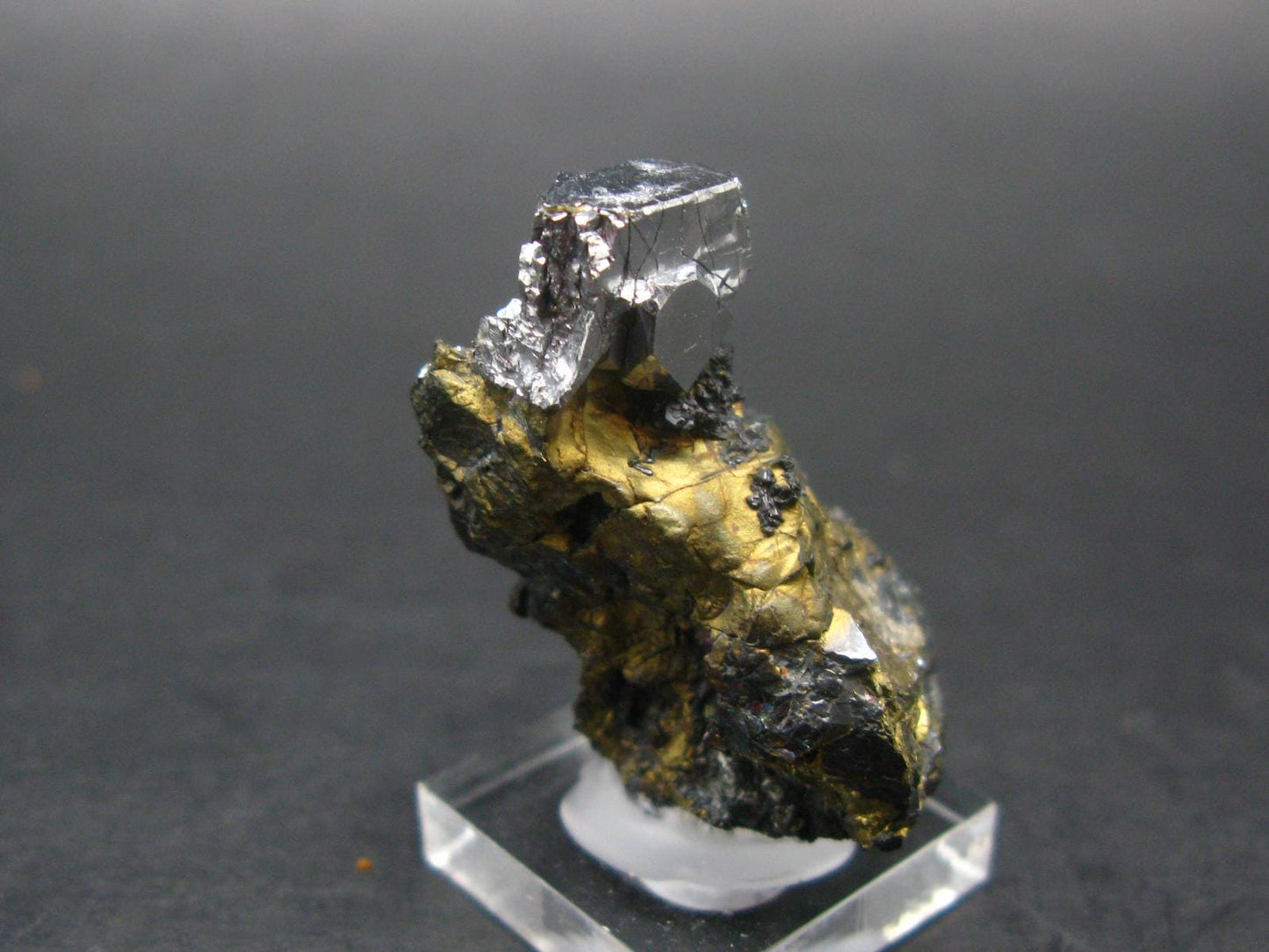 Sperrylite Crystal On Matrix From Russia - 1.3" - Huge 12mm Crystal