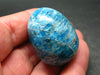 Large Neon Blue Apatite Egg from Madagascar - 54.6 Grams - 1.5"