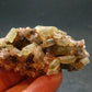 Golden Apatite Cluster From Mexico - 2.3" - 50.54 Grams