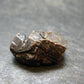 Mangano Tantalite Crystal From Brazil - 0.7" - 27.60 Carats