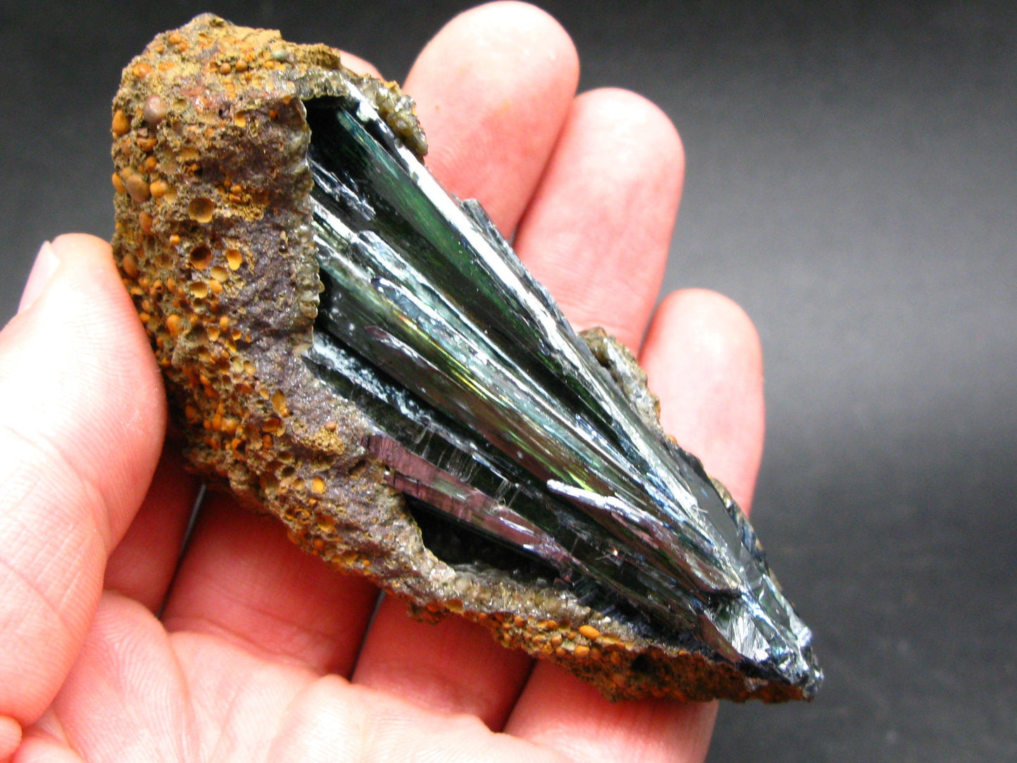 Vivianite Cluster From Brazil - 3.5"
