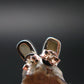Phenakite Phenacite Stud Earrings From Brazil - 0.5" - 1.24 Grams