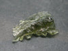 Besednice Moldavite Tektite Raw Piece from Czech Republic - 1.0" - 7.10 Carats