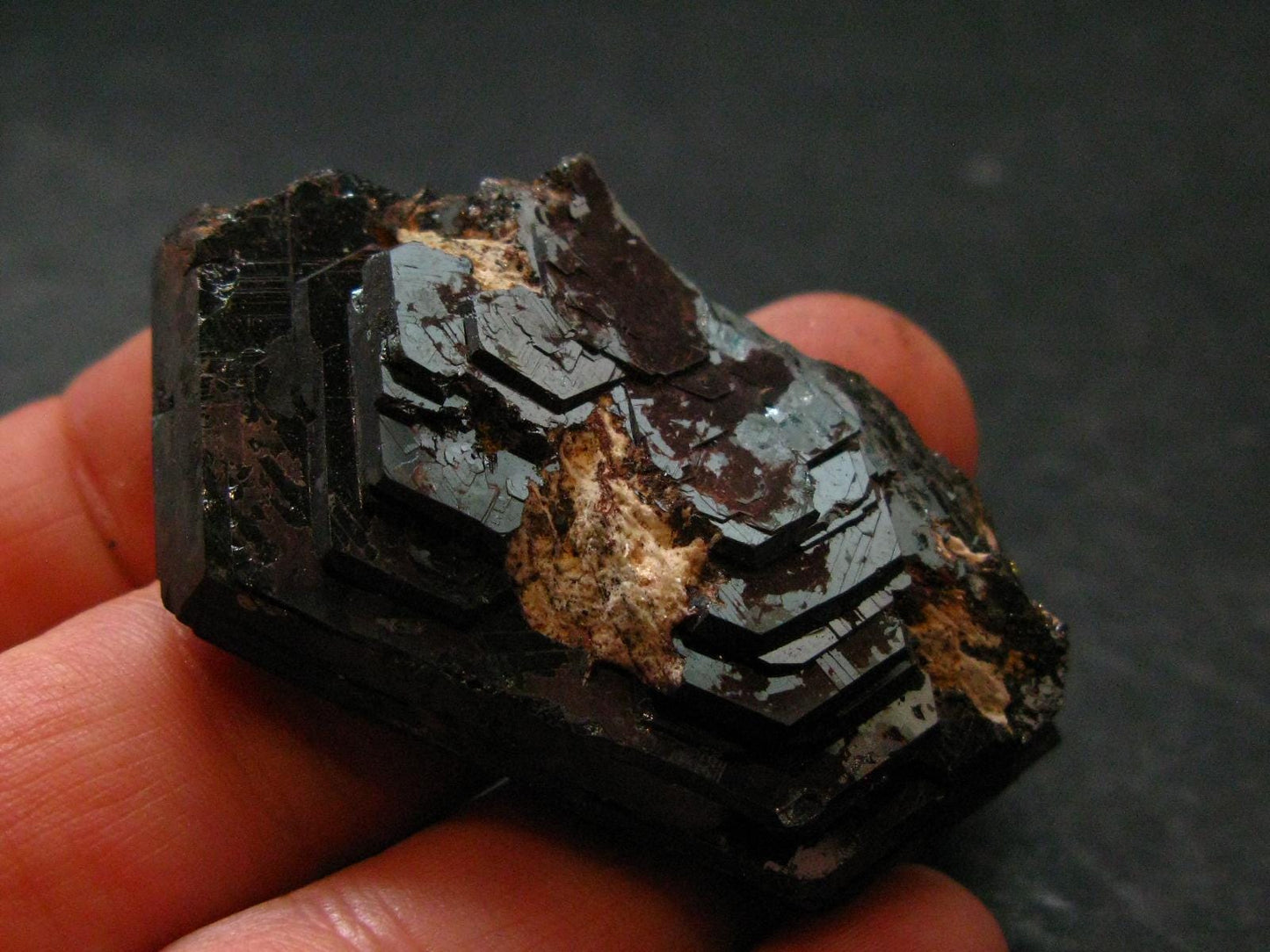 Large Hematite "Iron Rose" from Brazil - 2.0" - 41.39 Grams