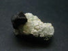 Babingtonite with Prehnite Cluster From China - 1.3"