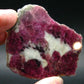 Stunning Tourmaline in Quartz Slice From Russia - 2.8"