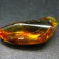 Insects in Amber Piece From Baltic Sea - 4.22 Grams - 1.5"