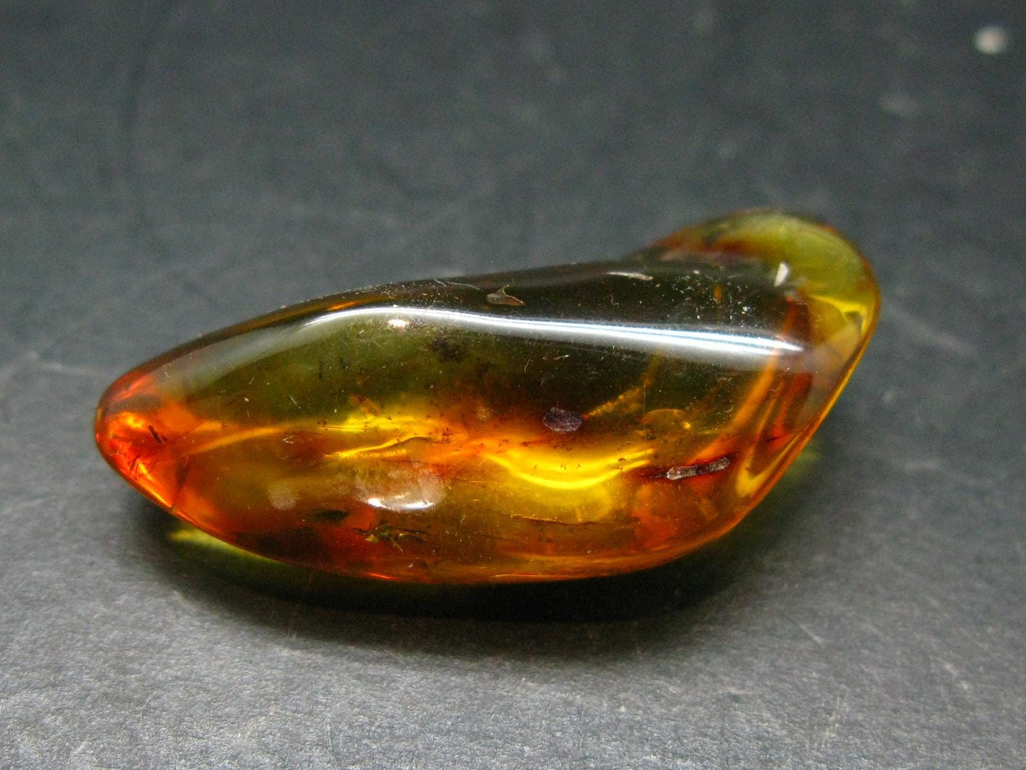 Insects in Amber Piece From Baltic Sea - 4.22 Grams - 1.5"