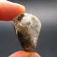 Genuine Phenakite Phenacite Tumbled Crystal from Russia - 14.19 Carats - 1.0"