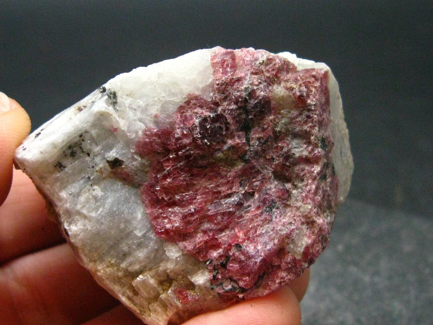 Rare Red Eudialyte from Quebec, Canada - 1.7" - 61.75 Grams