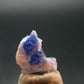 Fine Rare Carletonite Crystal From Mt. St. Hilaire Canada - 0.4" - 0.44 Grams
