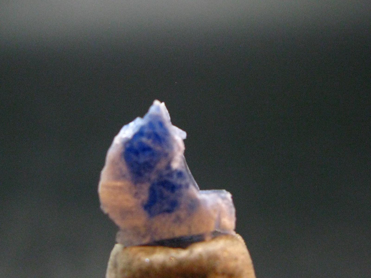 Fine Rare Carletonite Crystal From Mt. St. Hilaire Canada - 0.4" - 0.44 Grams