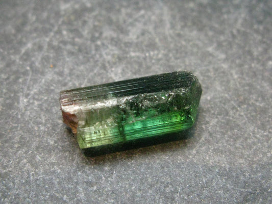Rare Watermelon Tourmaline Crystal From Brazil - 0.6" - 8.50 Carats